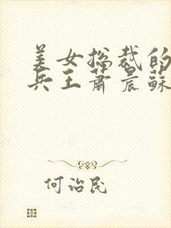 美女总裁的贴身兵王萧晨苏晴