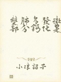 双肺多发微结节部分钙化是什么意思?