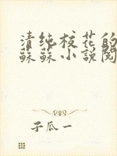 清纯校花的日常苏苏小说阅读全文