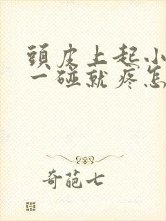 头皮上起小疙瘩一碰就疼怎么回事