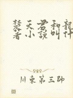 楚天君和龙月原著小说叫什么