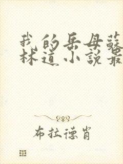 我的岳母苏沛真林道小说最新章节