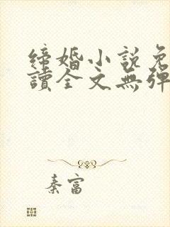 缔婚小说免费阅读全文无弹窗