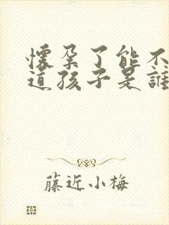 怀孕了能不能知道孩子是谁的封面