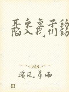 耳东兔子的小说陷入我们的热恋