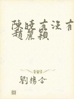 陈晓有没有爱过赵丽颖