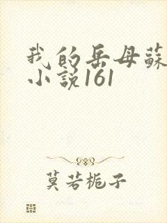 我的岳母苏沛真小说161