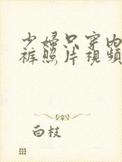 少妇只穿内衣内裤照片视频大全封面