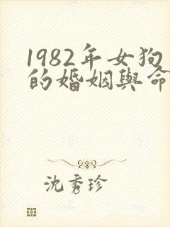 1982年女狗的婚姻与命运