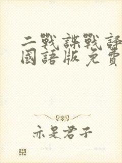 二战谍战译制片国语版免费