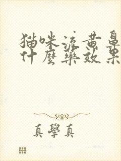 猫咪流黄鼻涕吃什么药效果好