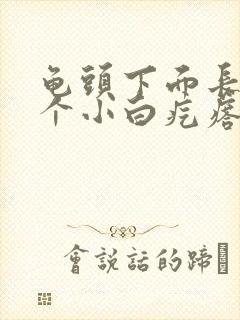 龟头下面长了几个小白疙瘩封面