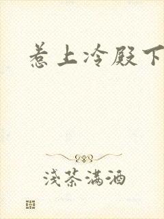 惹上冷殿下结局封面