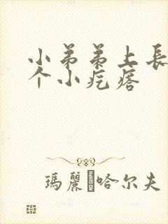 小弟弟上长了一个小疙瘩