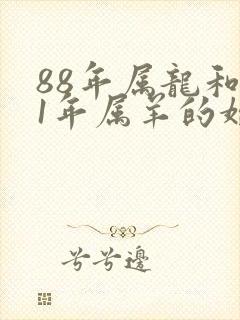 88年属龙和91年属羊的婚配吗