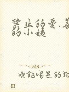 禁止的爱.善良的小姨封面