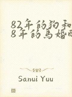 82年的狗和78年的马婚配好不好