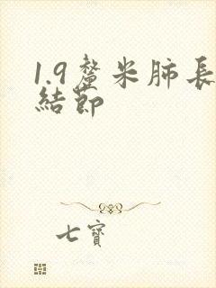 1.9厘米肺长结节