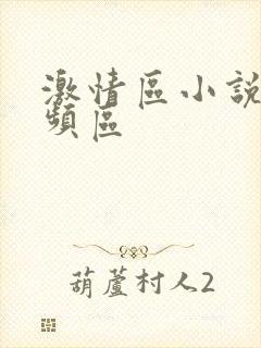 激情区小说区视频区