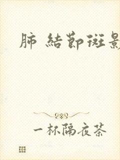 肺 结节斑影封面