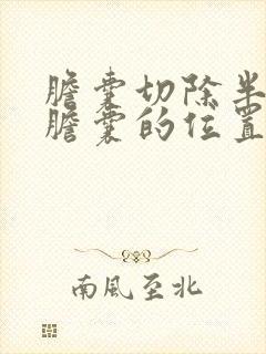 胆囊切除半个月胆囊的位置隐约有点疼