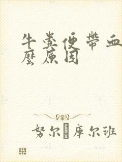 牛粪便带血是什么原因