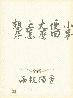 想上大便小肚子疼怎么回事封面