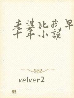 老婆比我早重生十年小说封面