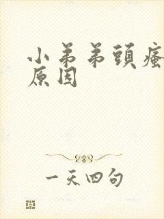 小弟弟头瘙痒的原因