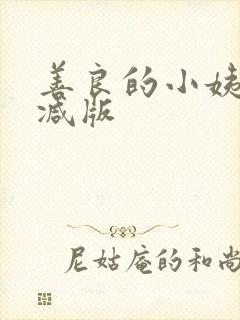 善良的小姨无删减版封面