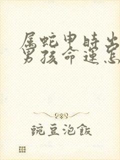 属蛇申时出生的男孩命运怎么样