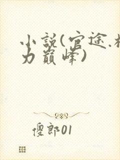 小说(官途.权力巅峰)封面