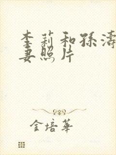 李莉和孙涛的夫妻照片