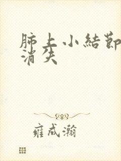 肺上小结节不会消失封面