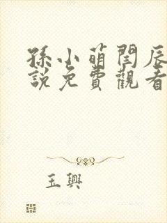 孙小萌闫辰的小说免费观看