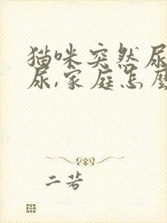 猫咪突然尿不出尿,家庭怎么处理