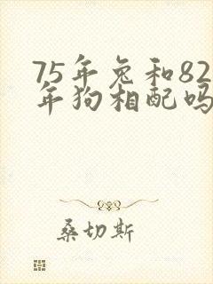 75年兔和82年狗相配吗