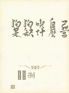 狗狗吃自己的屎是缺什么营养封面