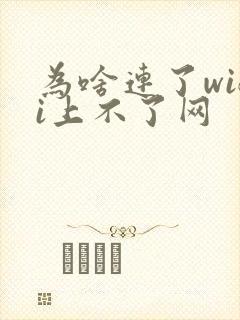 为啥连了wifi上不了网