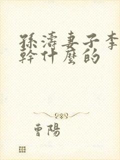 孙涛妻子李莉是干什么的