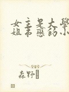 女主是大学老师姐弟恋的小说