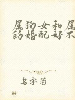 属狗女和属羊男的婚配好不好