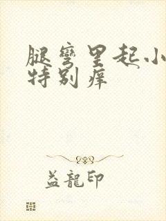 腿弯里起小疙瘩特别痒