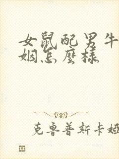 女鼠配男牛的婚姻怎么样