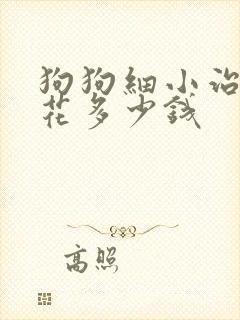 狗狗细小治疗要花多少钱