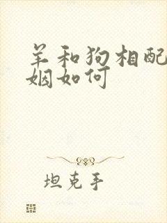 羊和狗相配吗婚姻如何封面