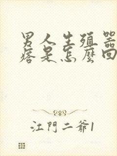 男人生殖器小疙瘩是怎么回事