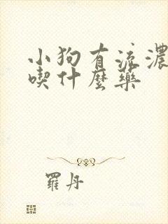 小狗有流浓鼻涕吃什么药