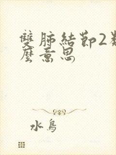 双肺结节2类什么意思