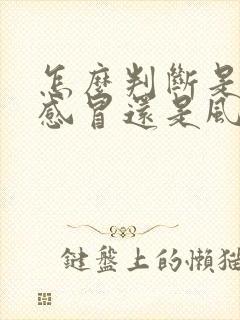 怎么判断是风寒感冒还是风热感冒